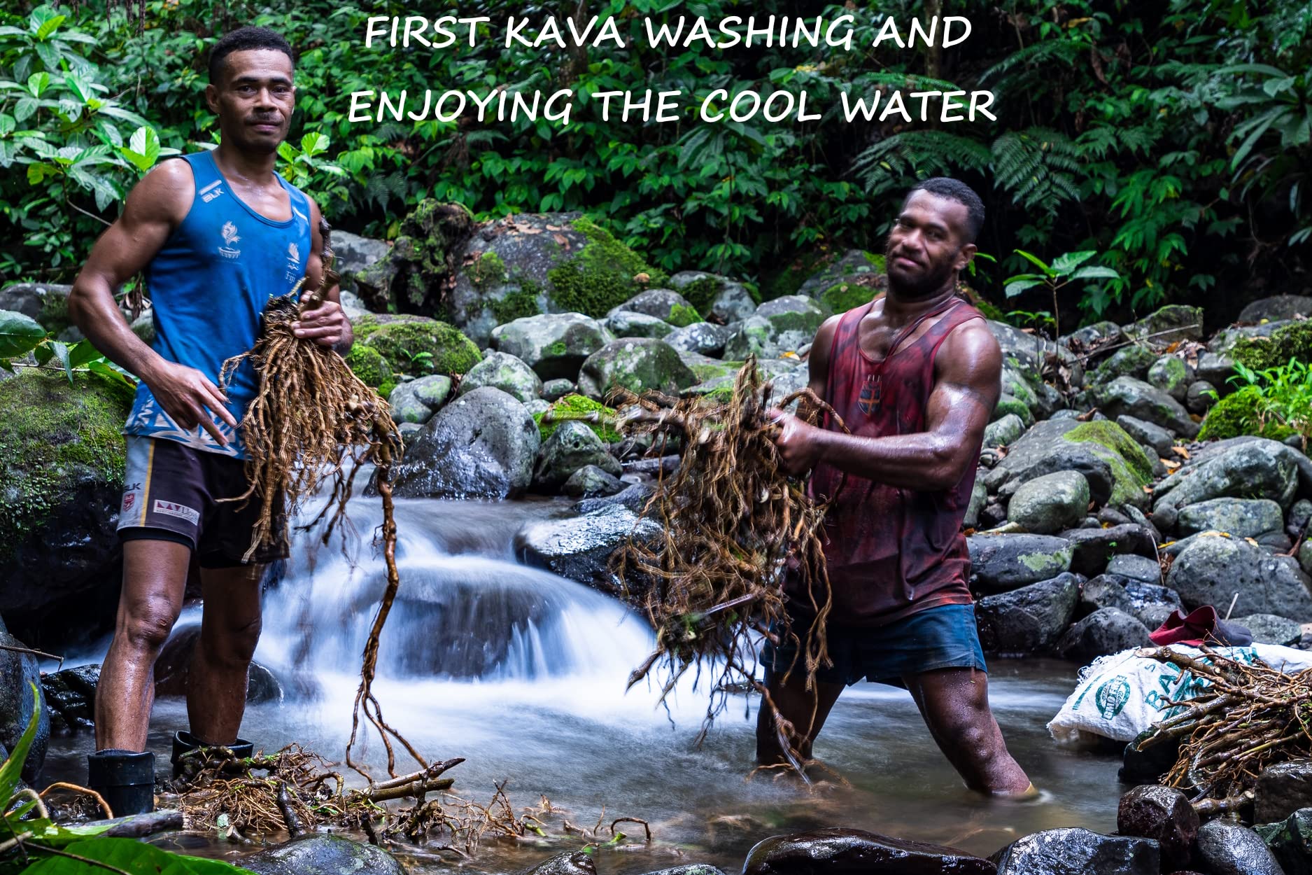Sun-dried preparation of Noble Fijian kava