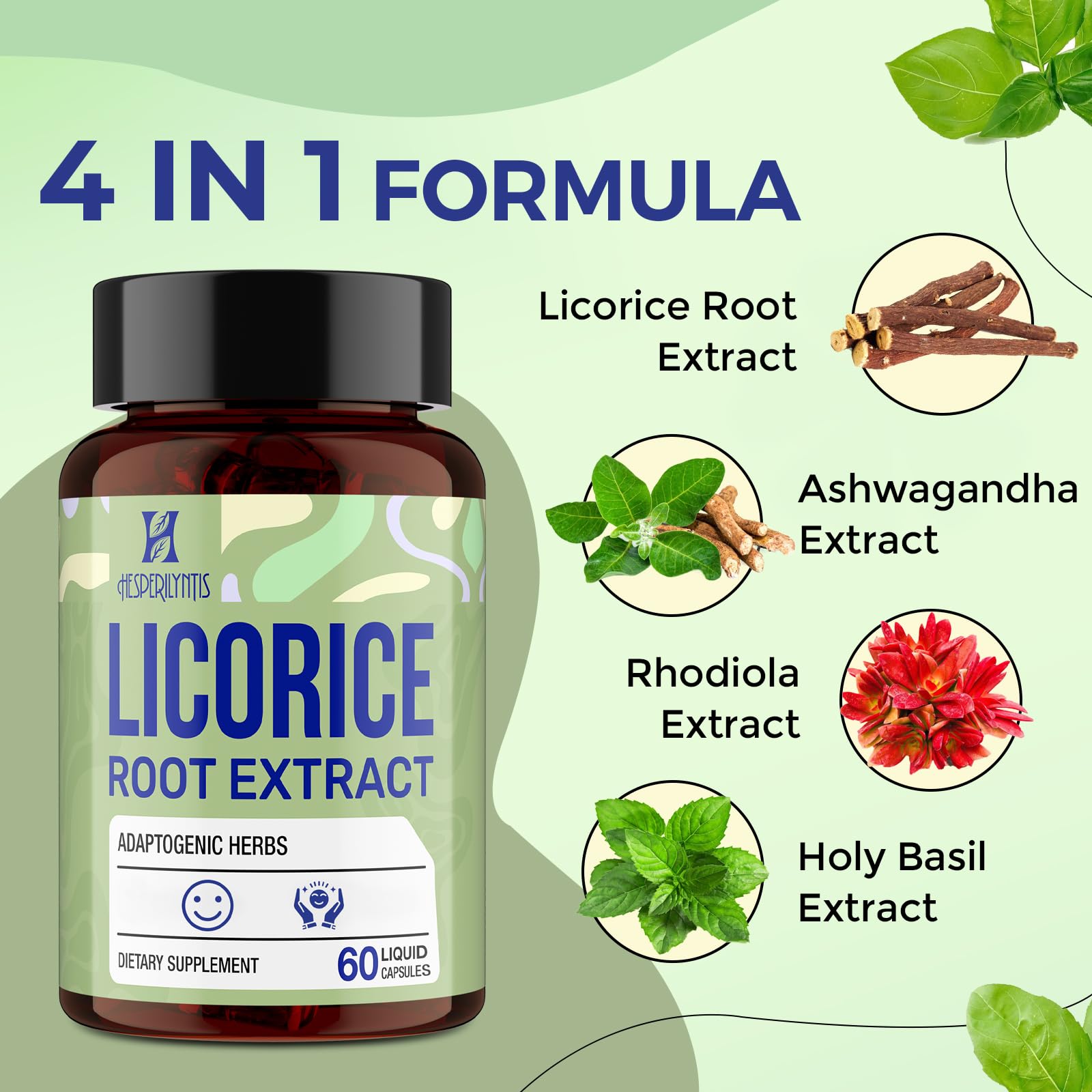 Herbal adaptogens: ashwagandha, rhodiola, holy basil