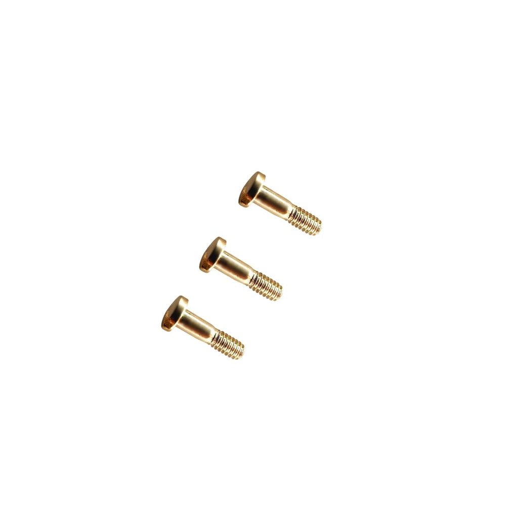 Close-up of golden screws and screwdriver for Ray Ban frame