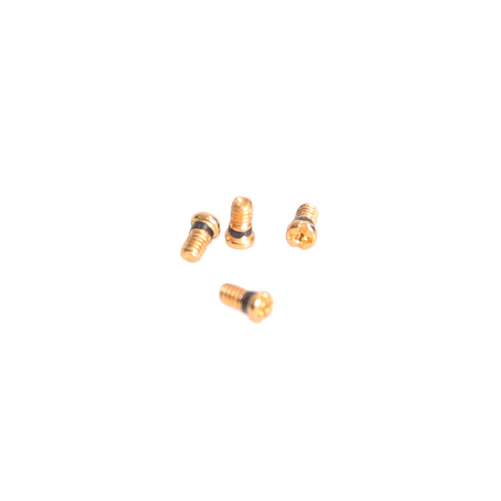 Hicycle2 Ray-Ban Aviator screws repair kit – top view