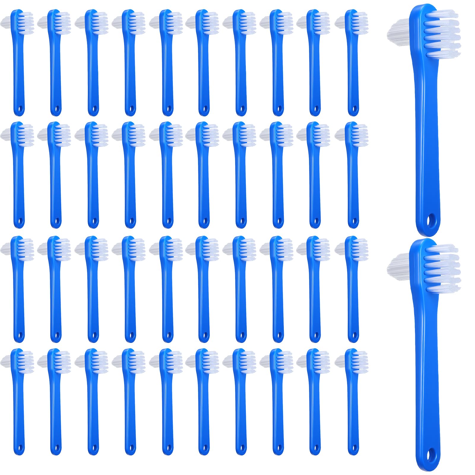 Hidyuuoo 60-piece denture brush kit box with blue brushes