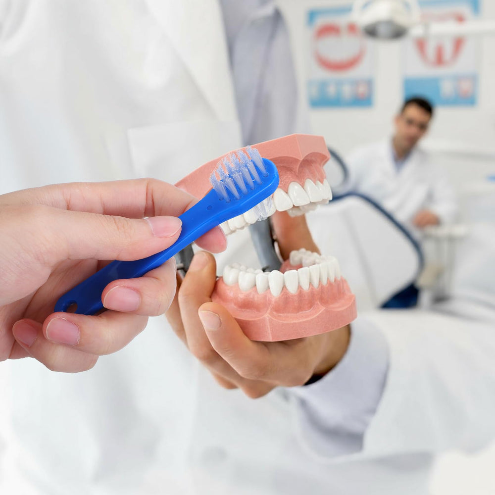 Denture brush cleaning dentures in a bathroom setting