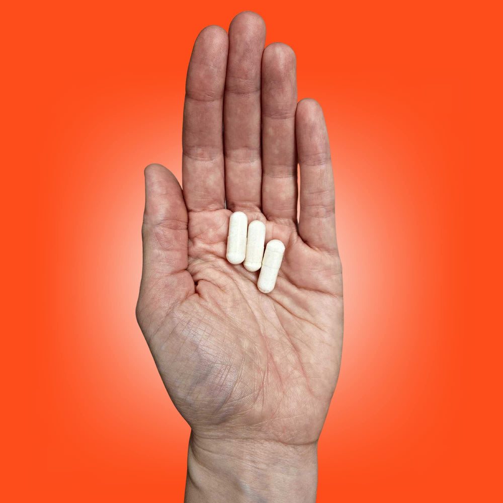 High absorption magnesium blend with B vitamins