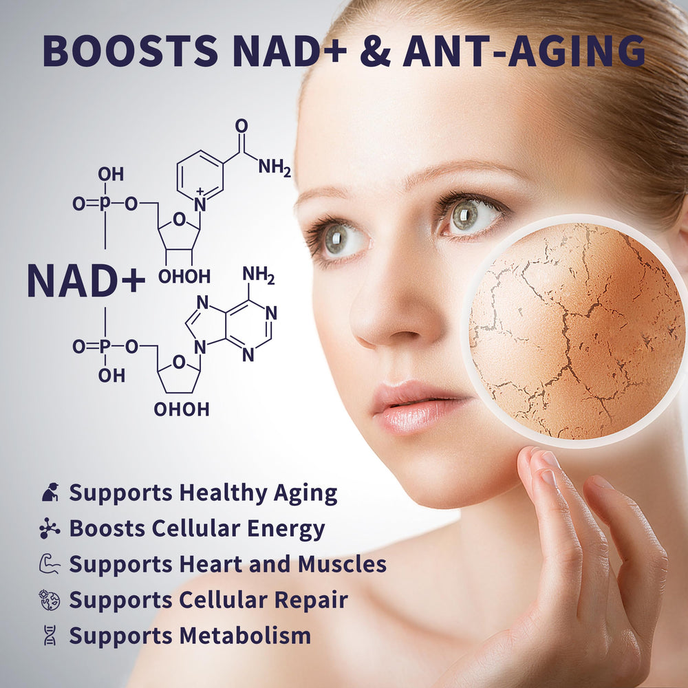 Graph indicating high absorption of NAD wellness drops