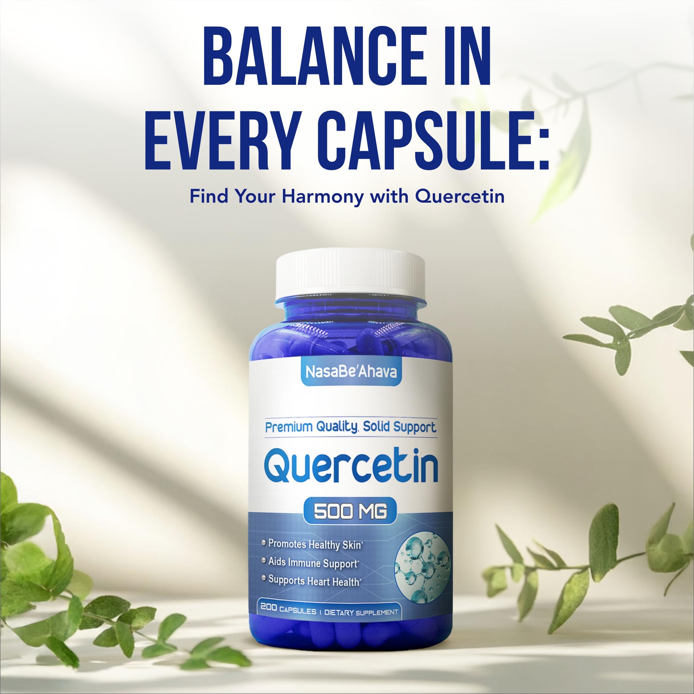 High potency antioxidant quercetin capsules