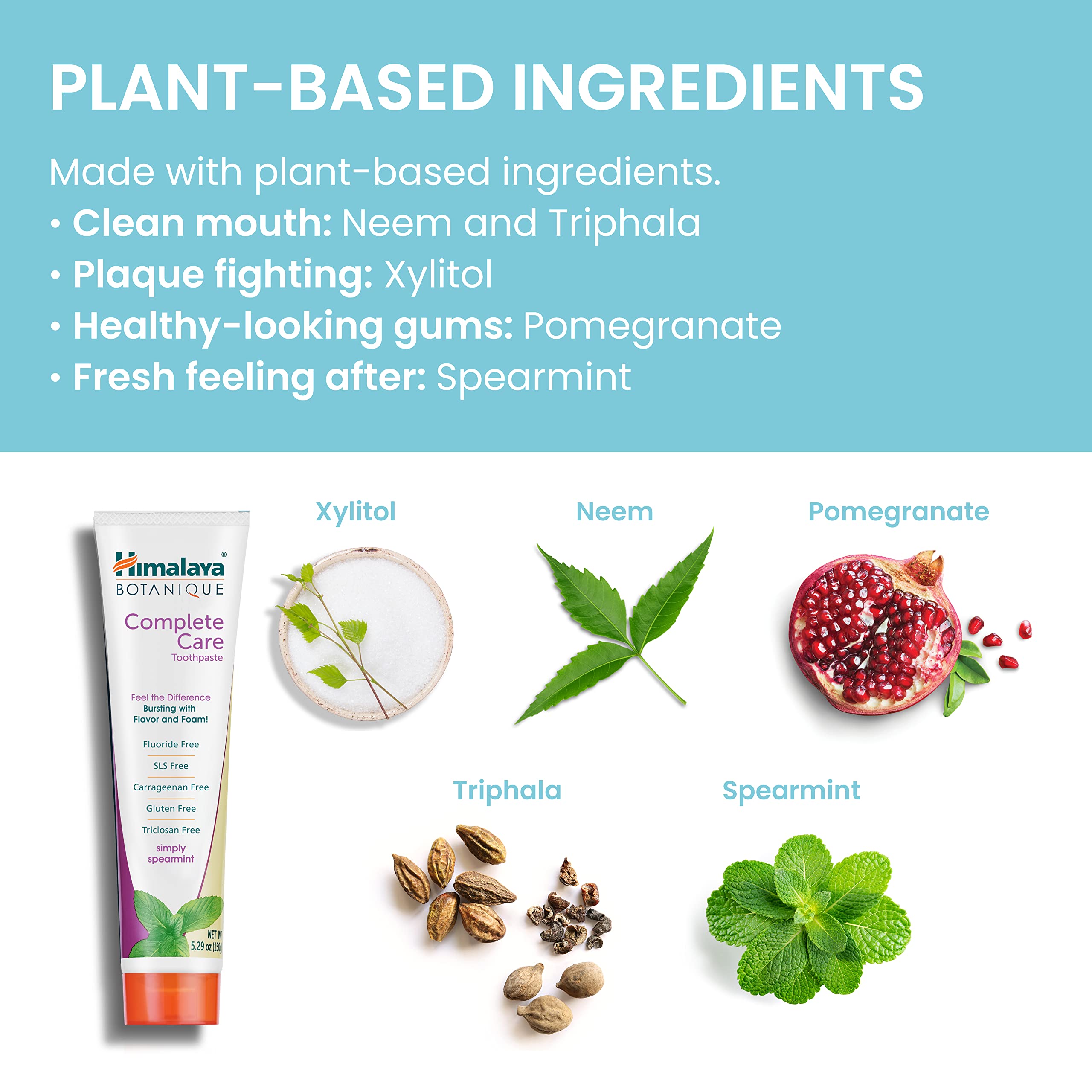 Concept: Brighter teeth and fresh breath with toothpaste