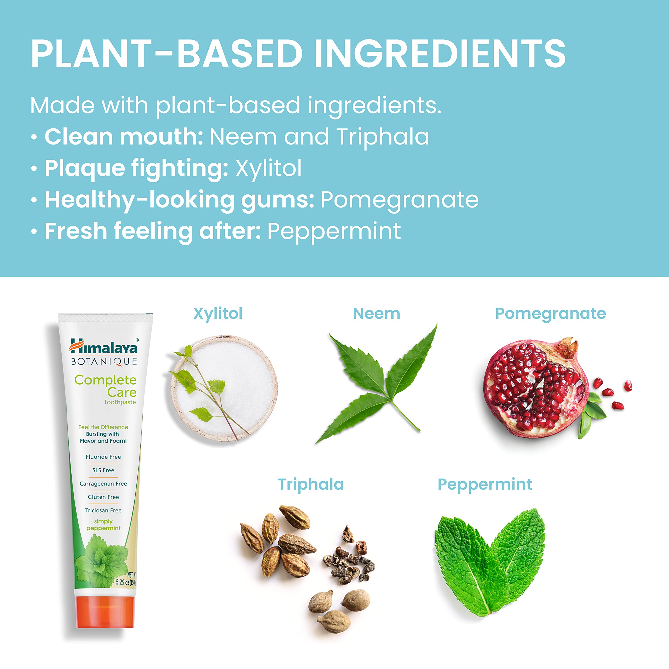 5.29 oz toothpaste tube with peppermint flavor label