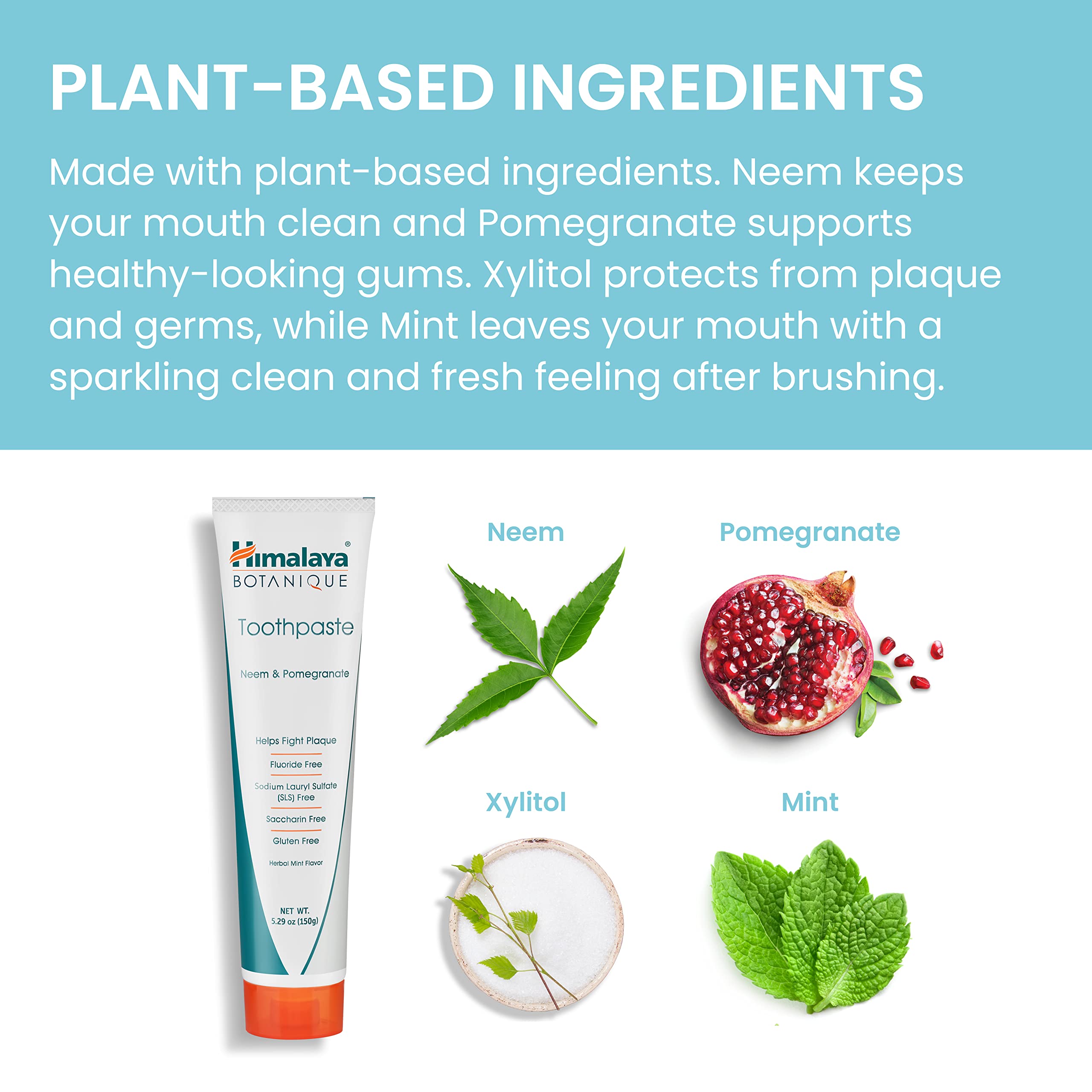Foaming mint toothpaste texture