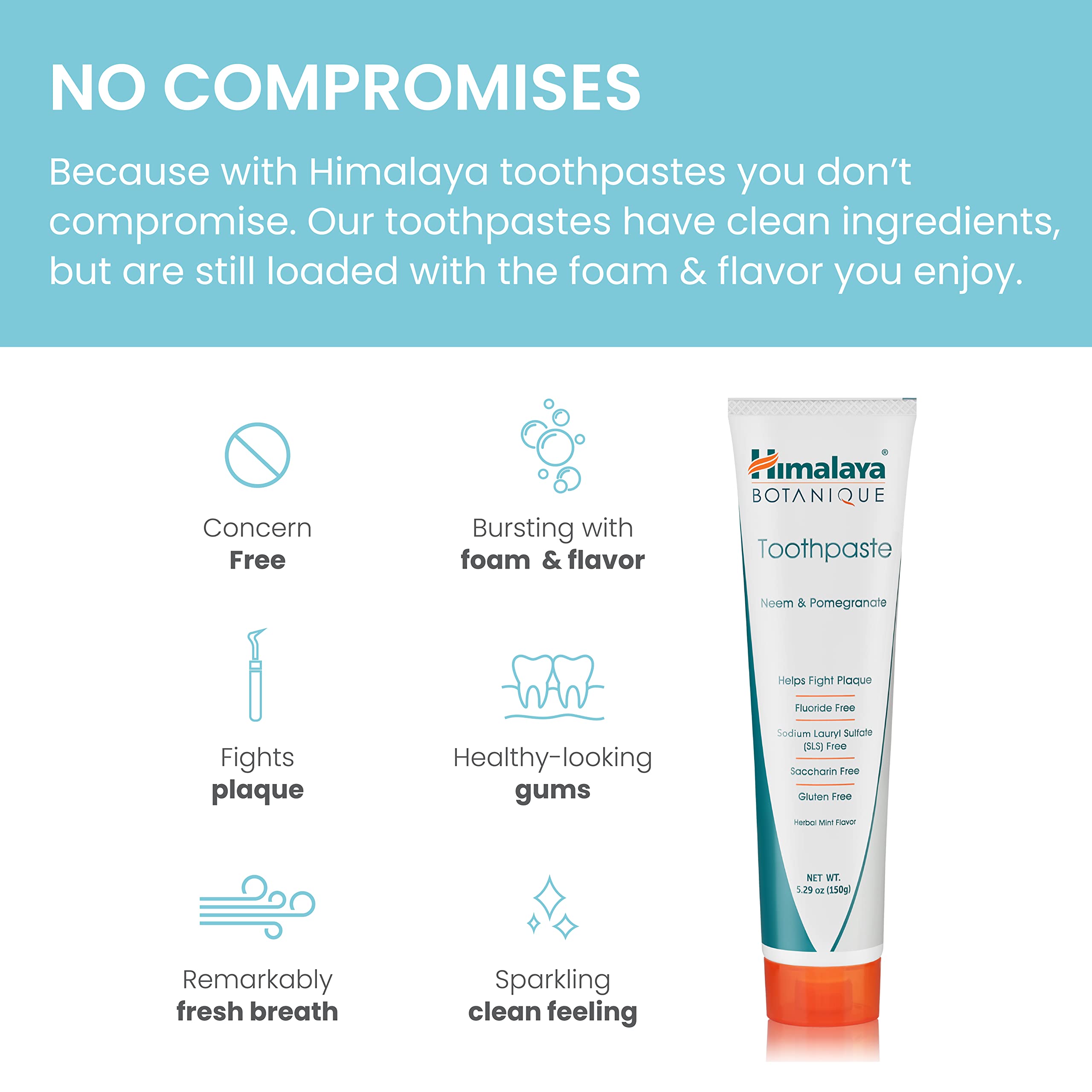 Back packaging of Himalaya Botanique toothpaste