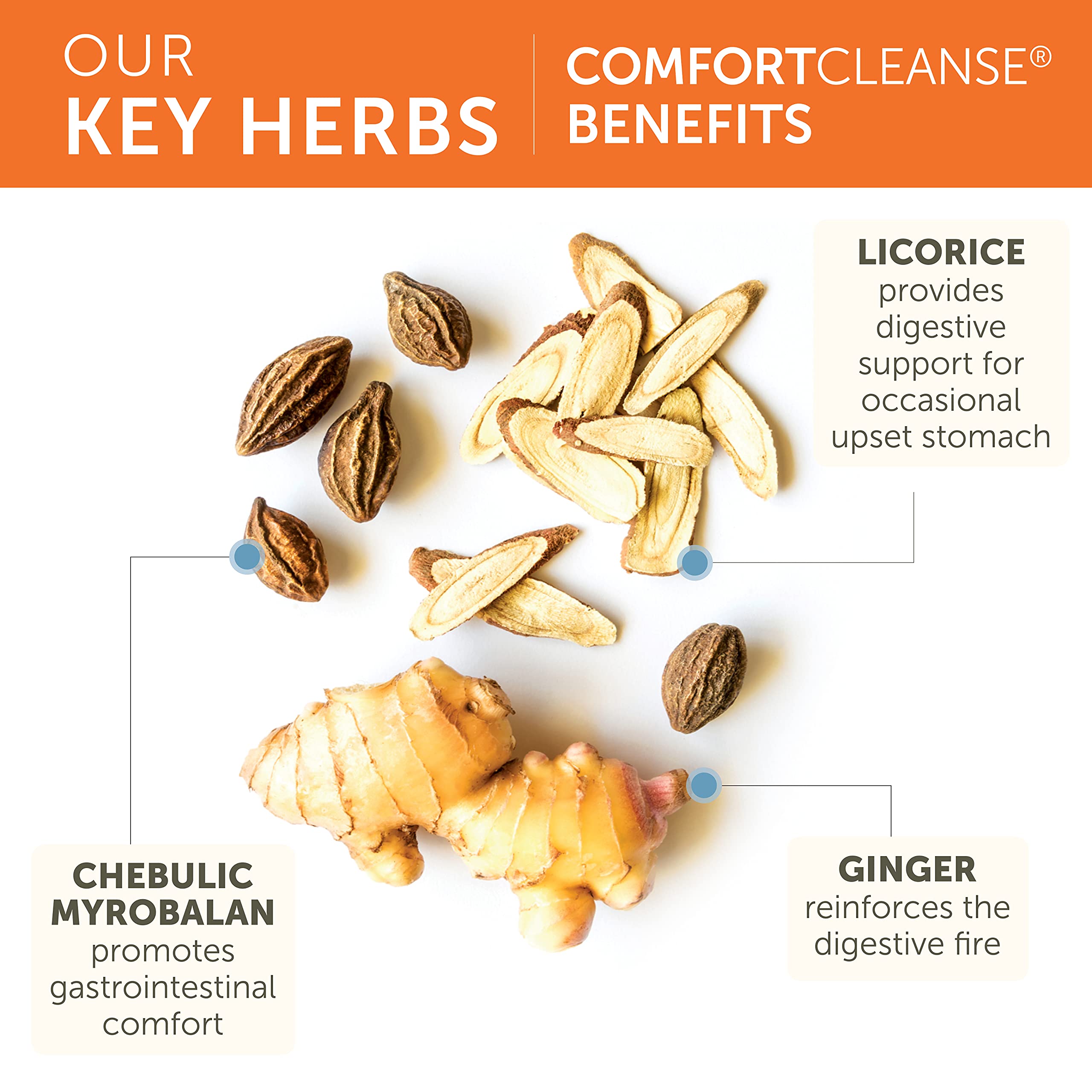 Ginger, licorice, and chicory blend illustration for ComfortCleanse
