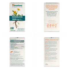 Close-up of Dandelion root capsules showing 1000 mg serving