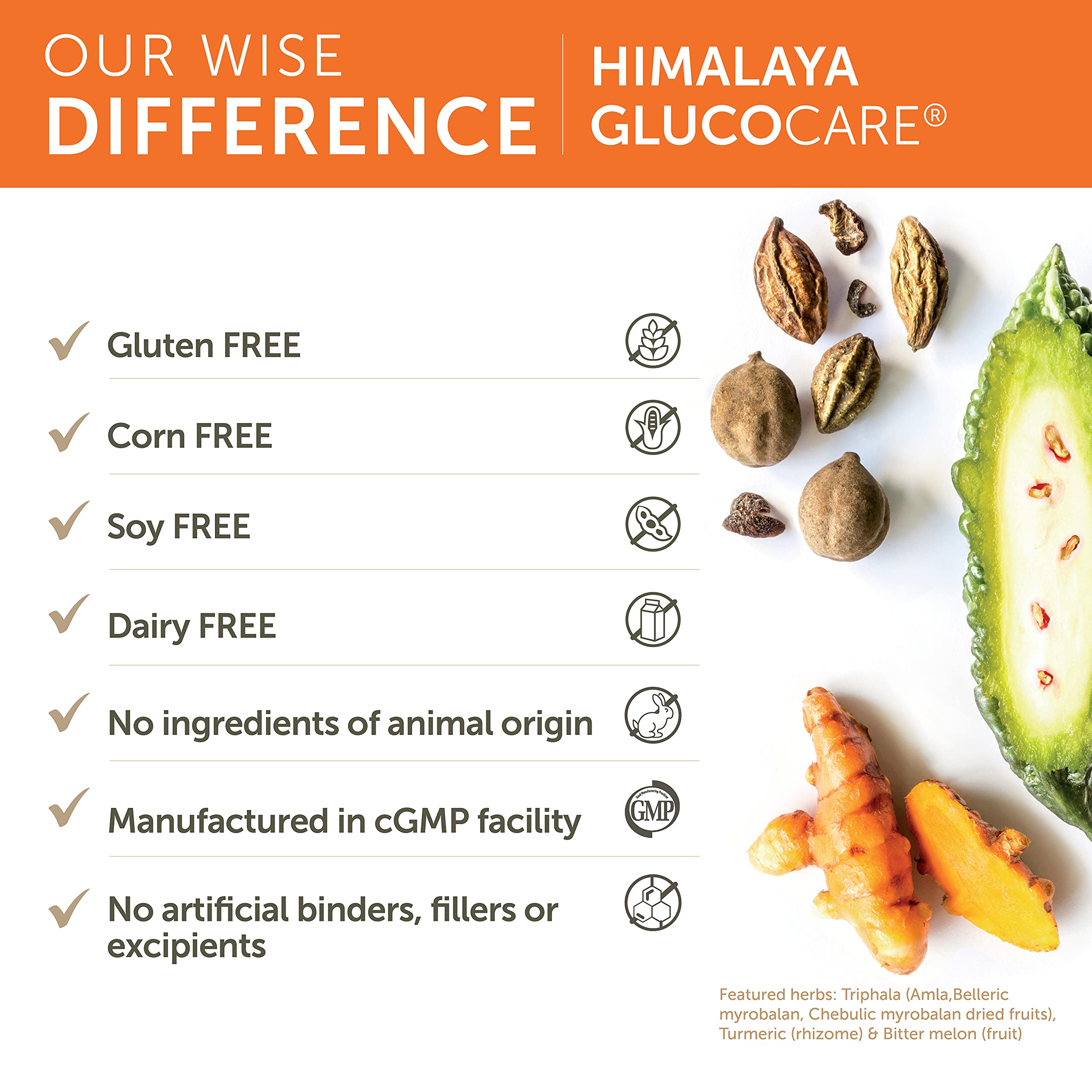 Triphala and Ayurvedic ingredients in GlucoCare