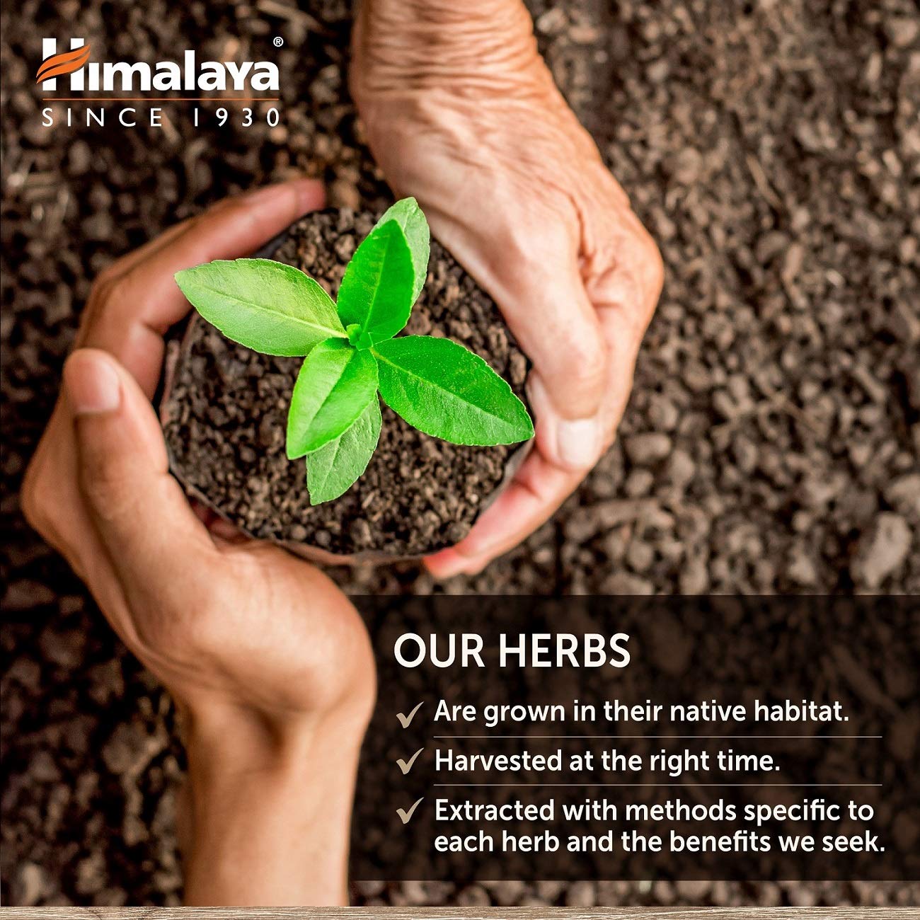 Family-owned Himalaya brand heritage behind GlucoCare