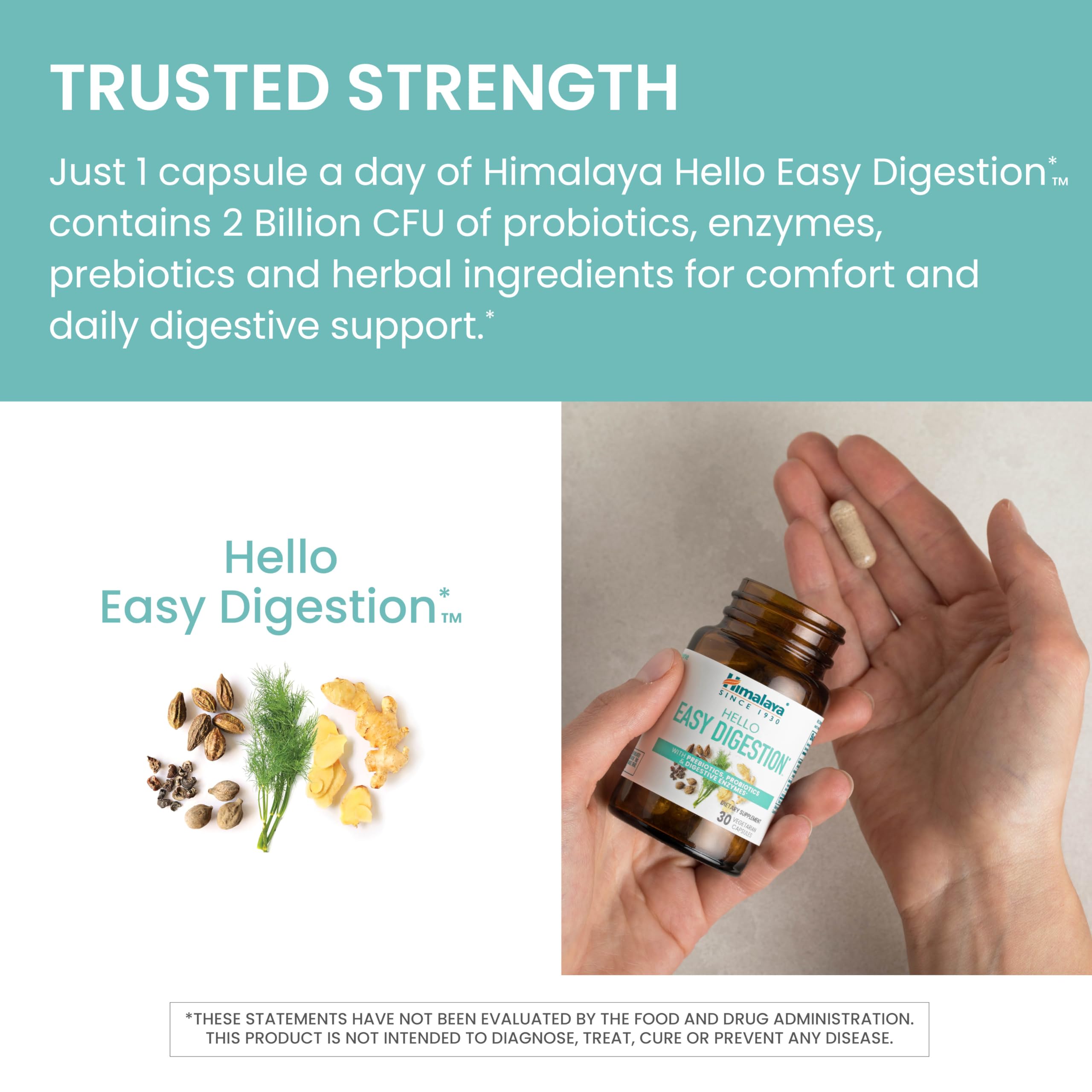 cGMP facility certification