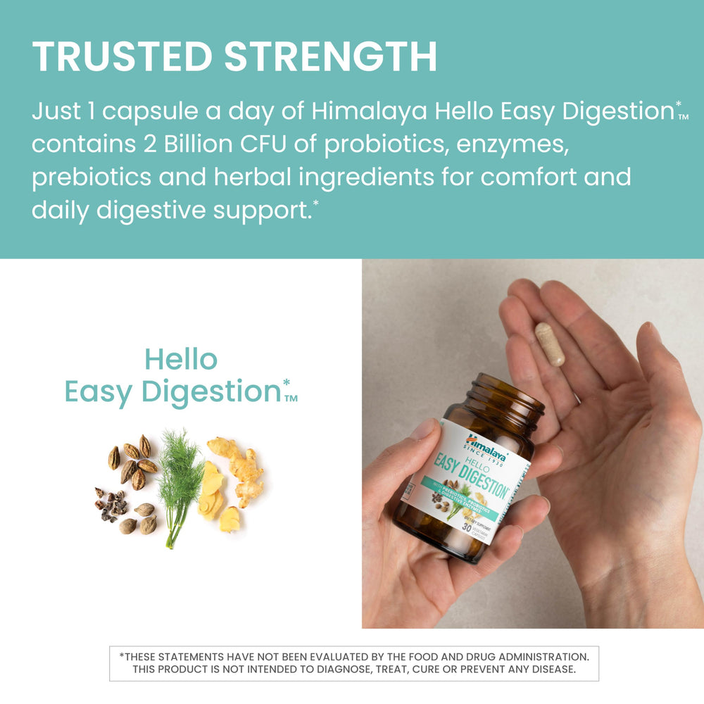 cGMP facility certification