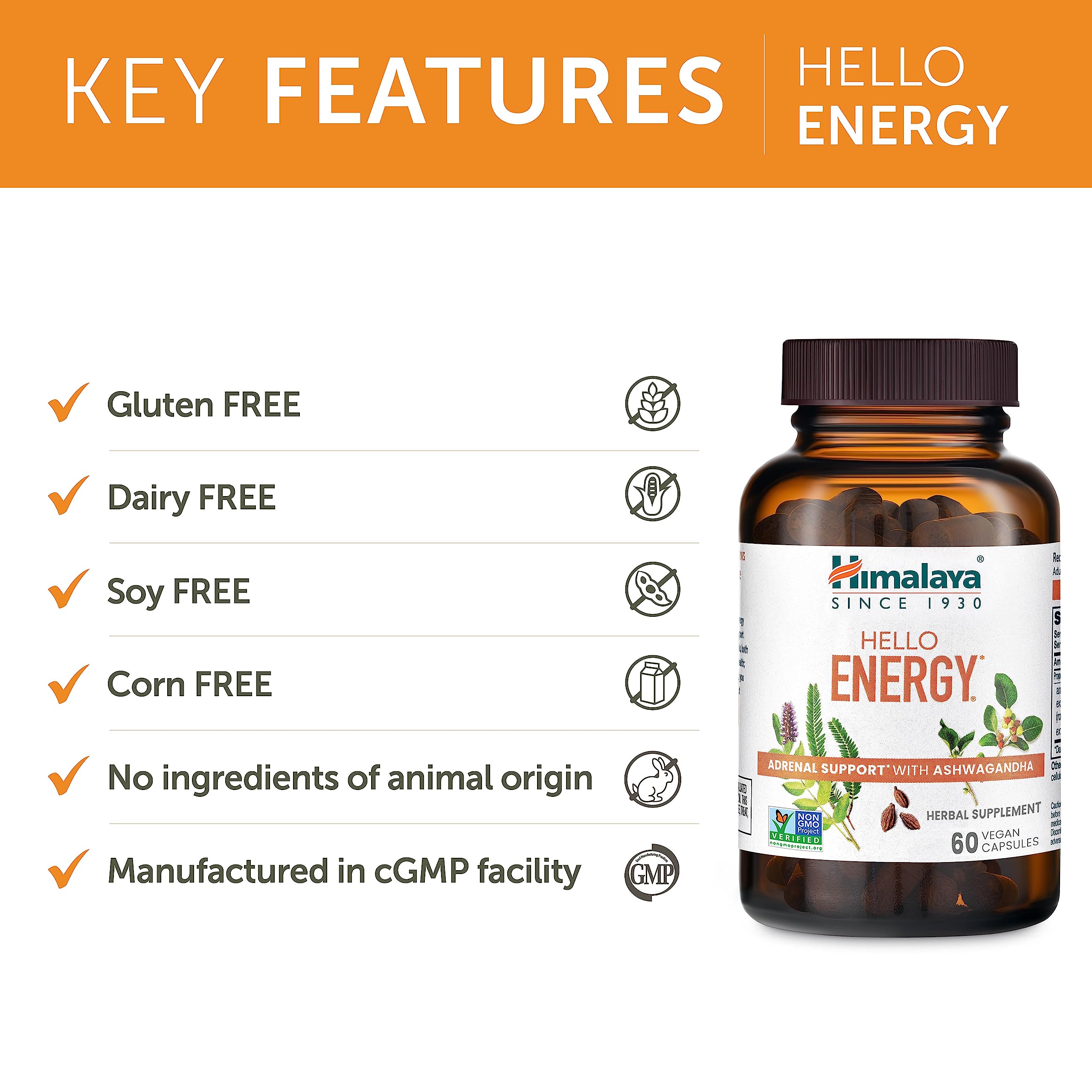 Himalaya Hello Energy haritaki close-up signals metabolism support and balanced vitality