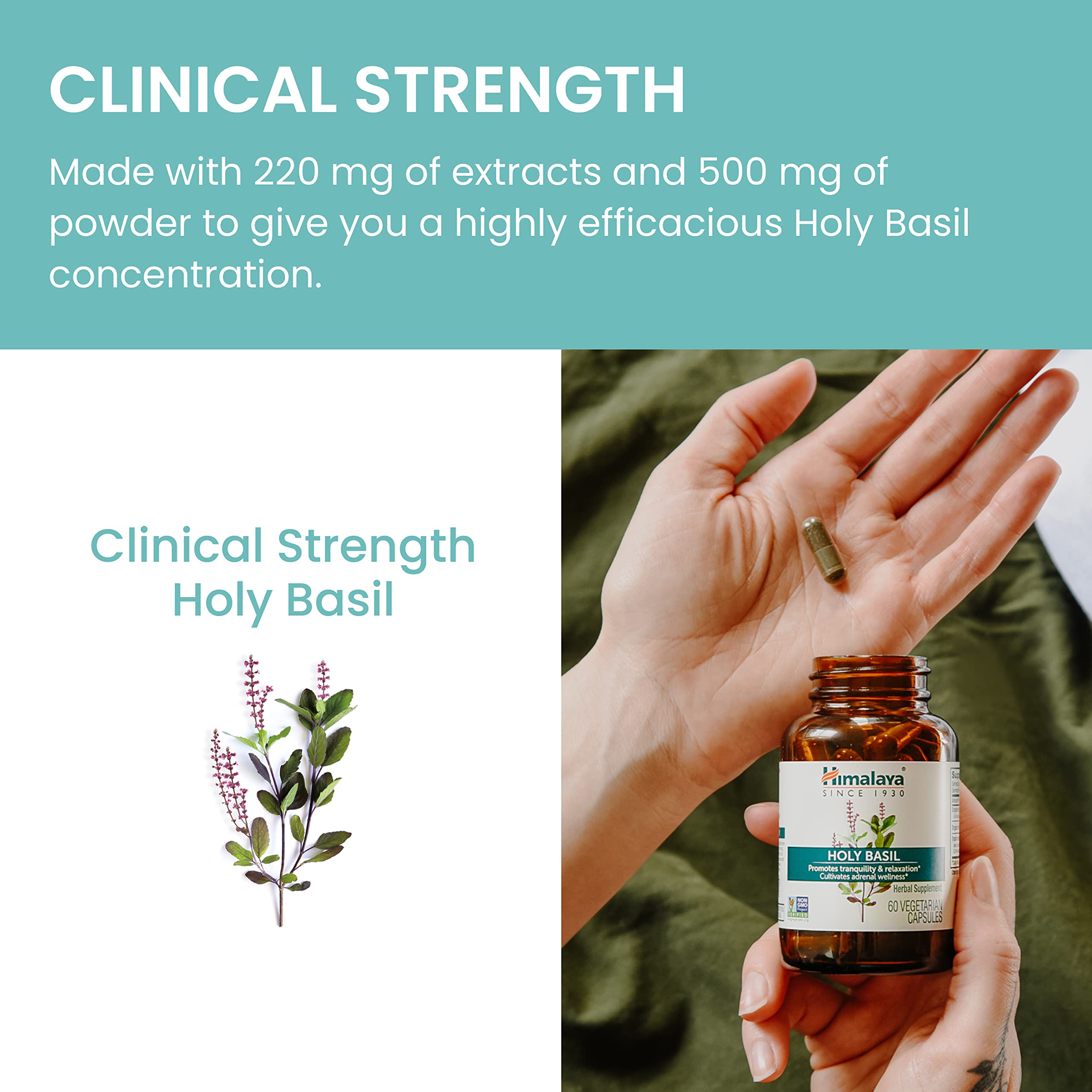 Family-owned Himalaya brand tradition and trust