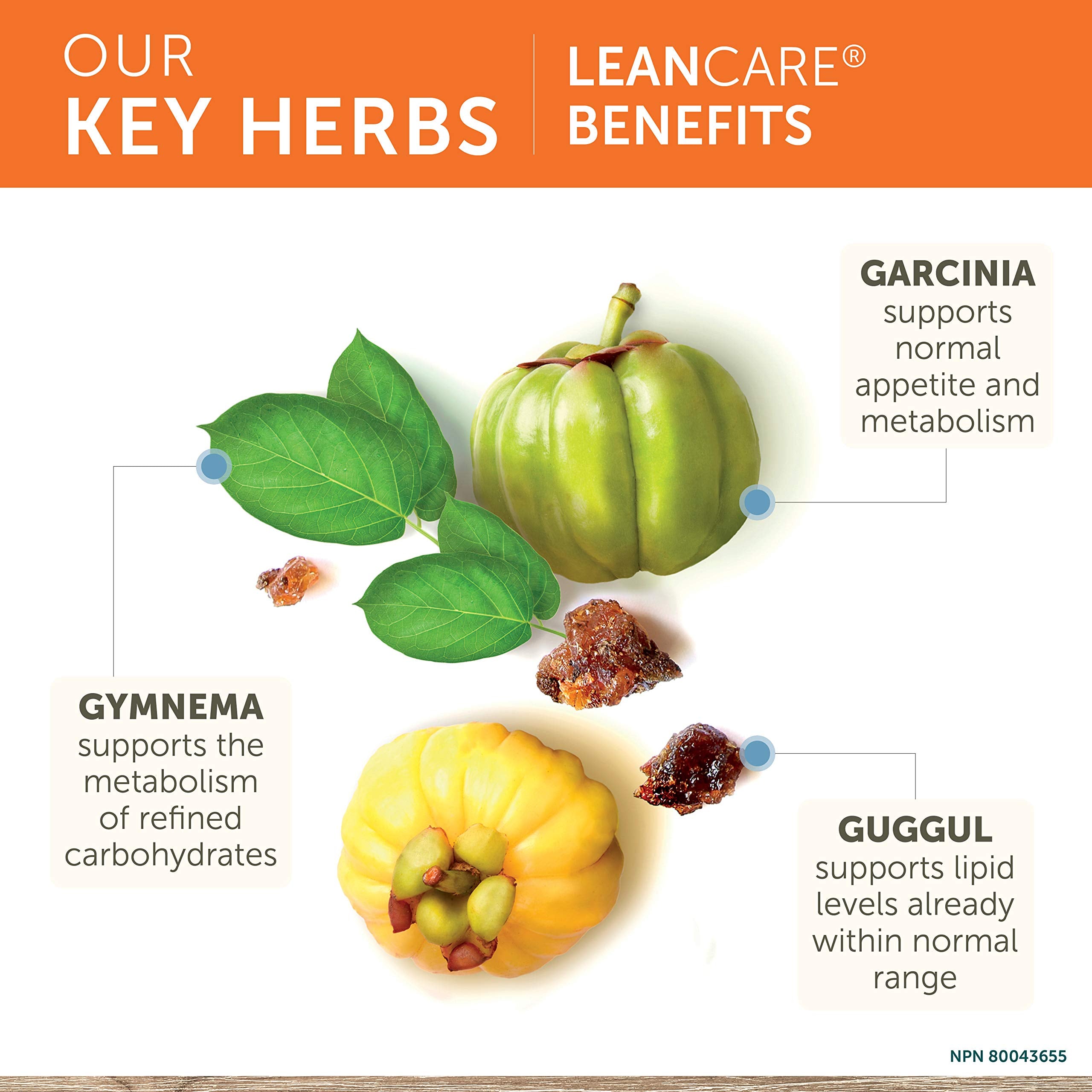 Himalaya LeanCare Guggul extract; traditional herb for balanced lipid metabolism.