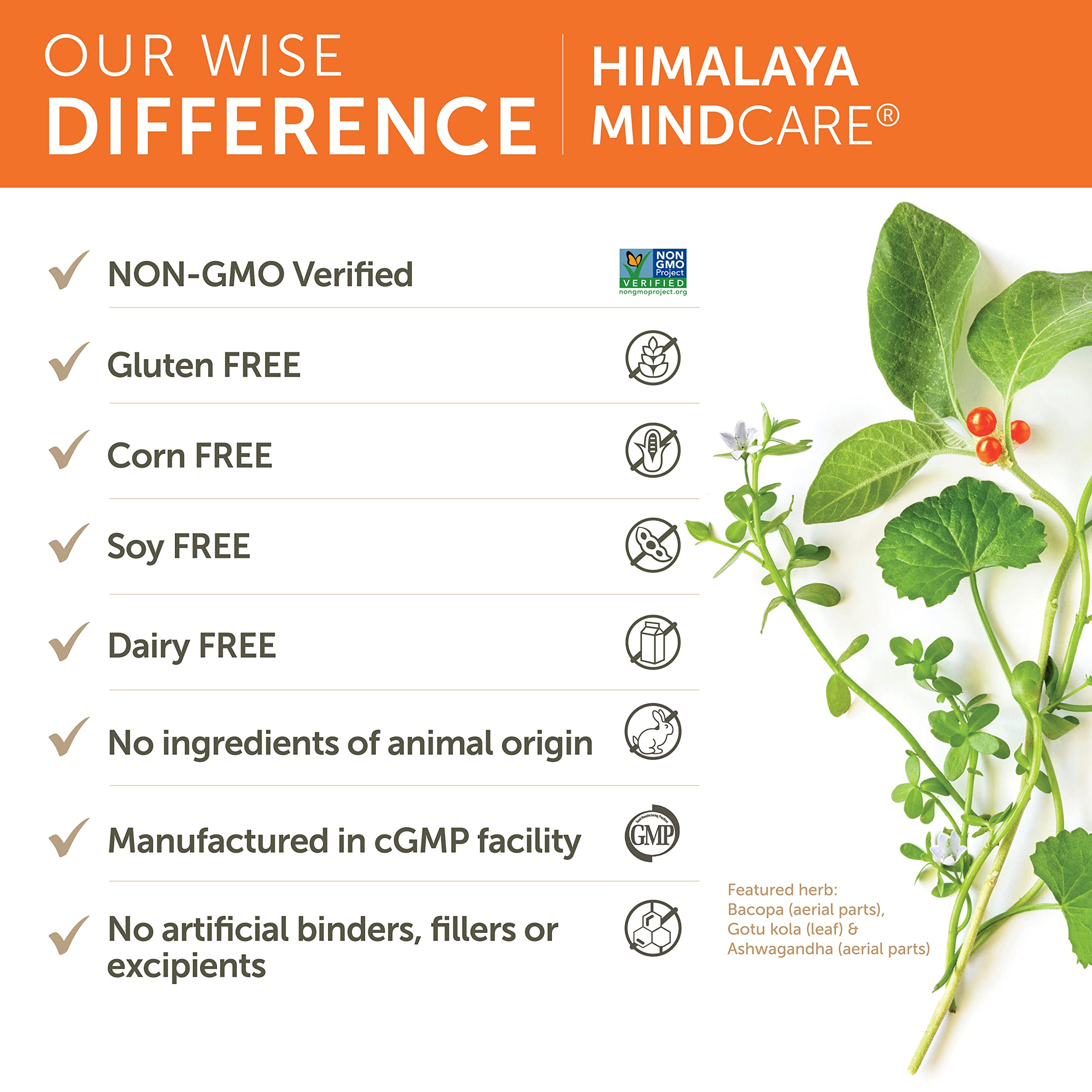 Ashwagandha ingredient in MindCare nootropic