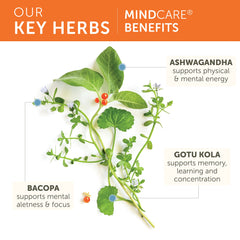 Gotu Kola herb in MindCare supplement