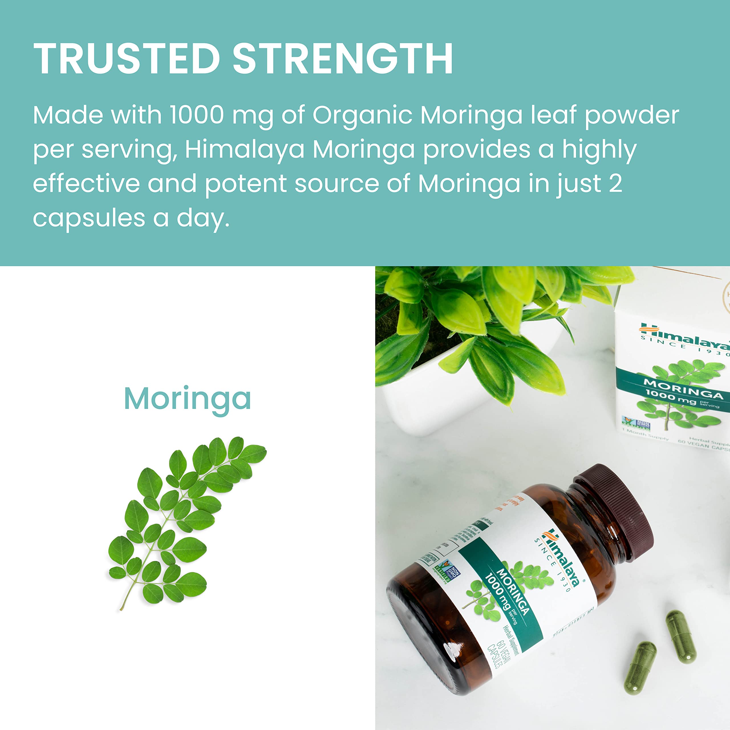 Himalaya Moringa packaging box and bottle