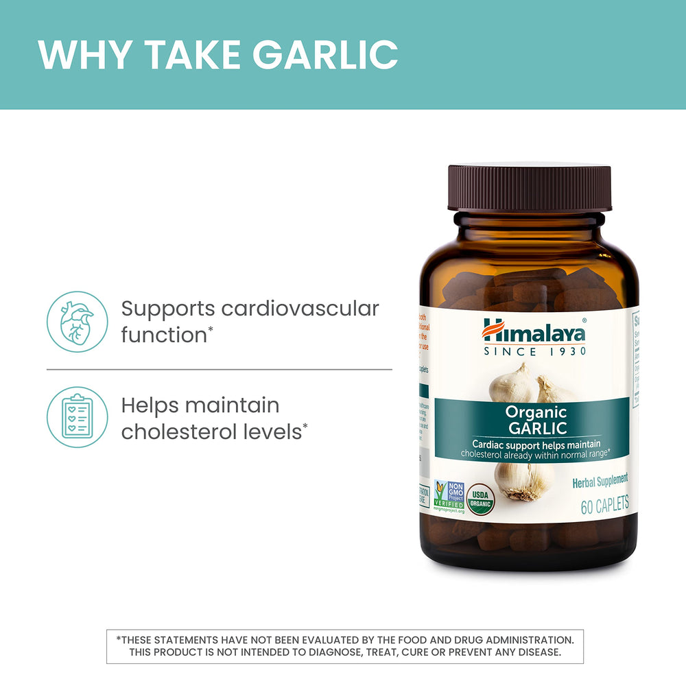 Gluten-free, dairy-free and soy-free garlic formula
