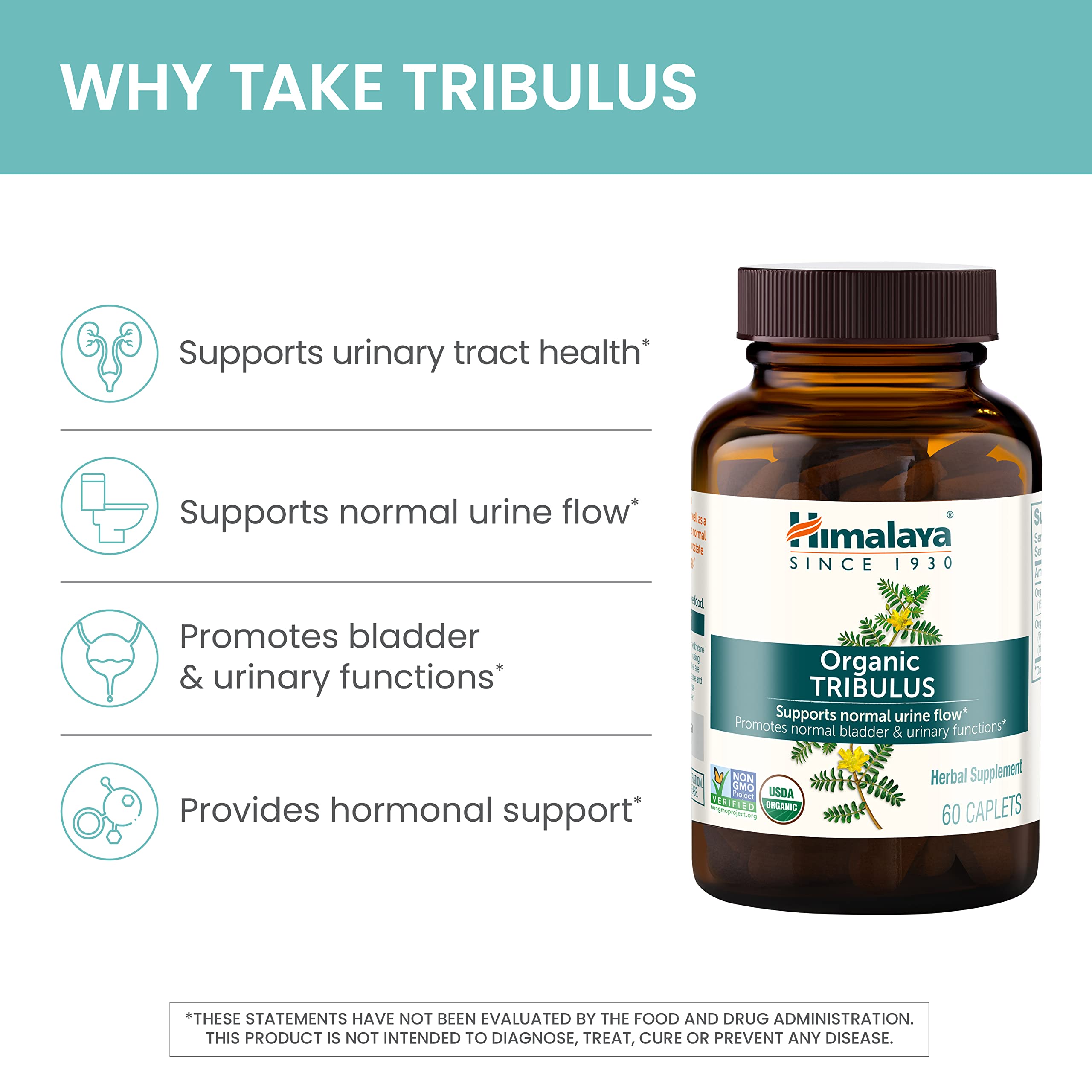 Natural Tribulus extract capsules on white background