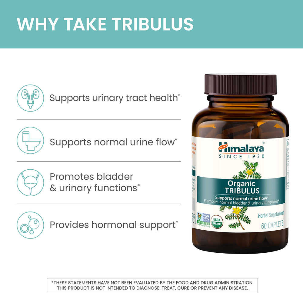 Natural Tribulus extract capsules on white background
