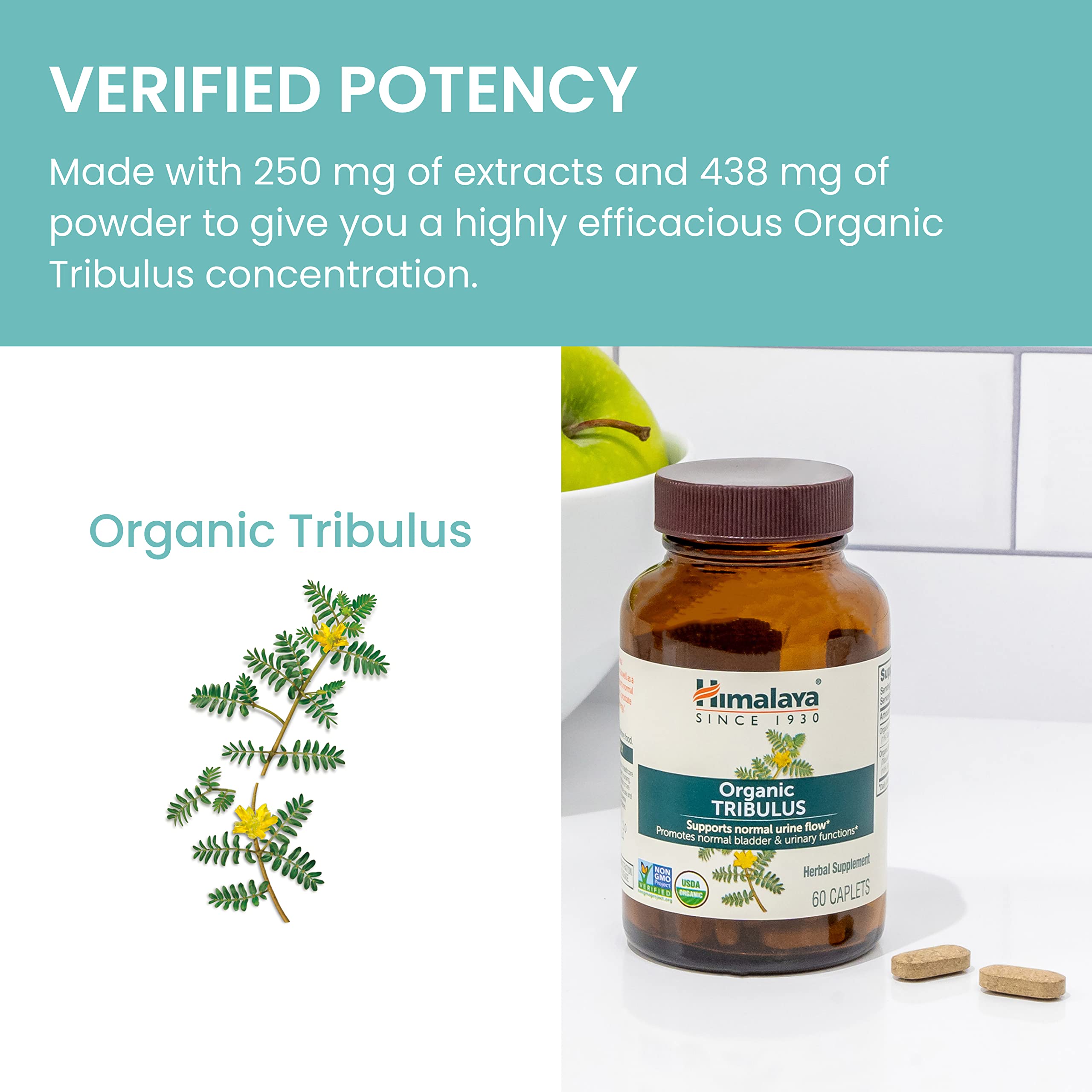 Himalaya Tribulus packaging on store shelf