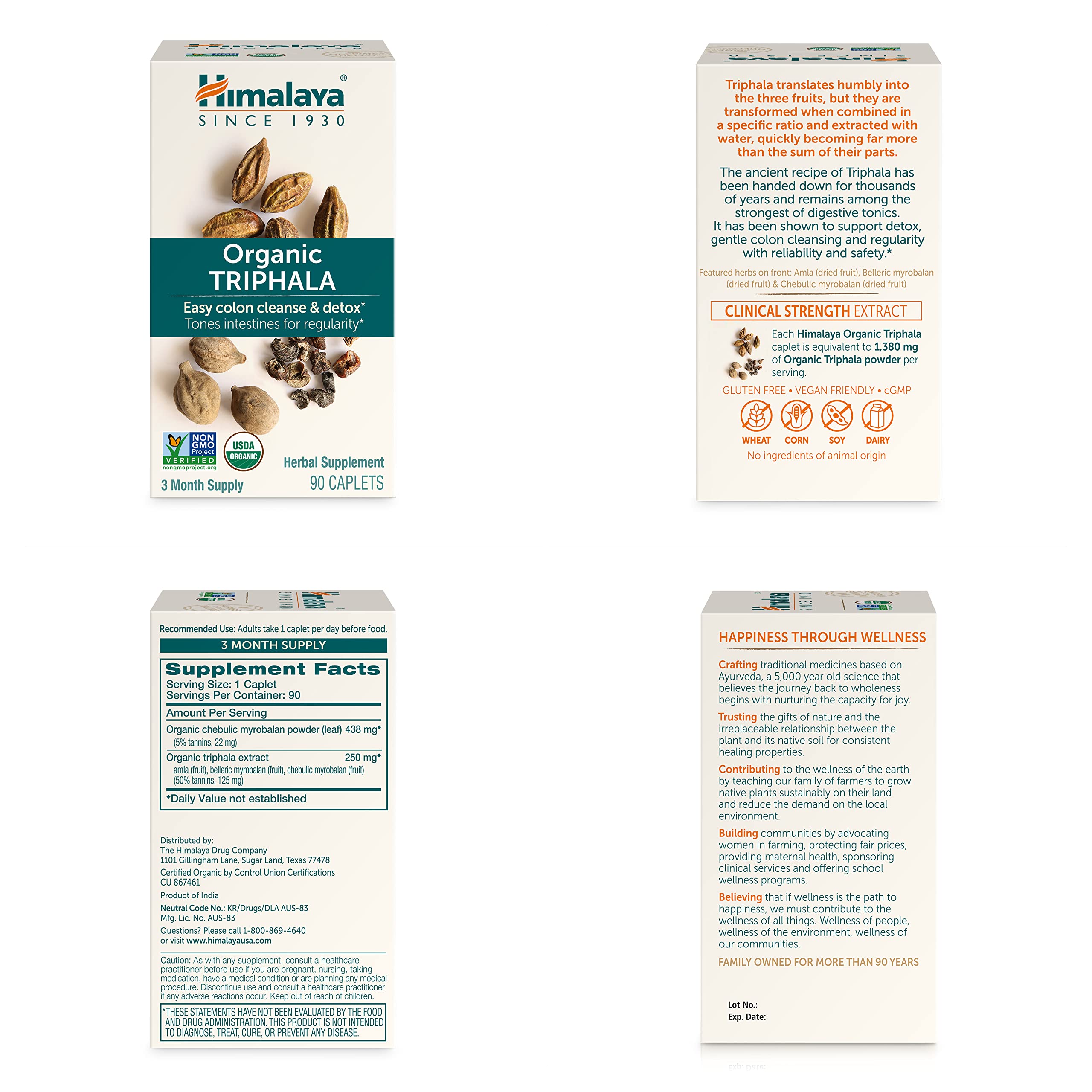 Lifestyle image conveying digestive health and natural herbs