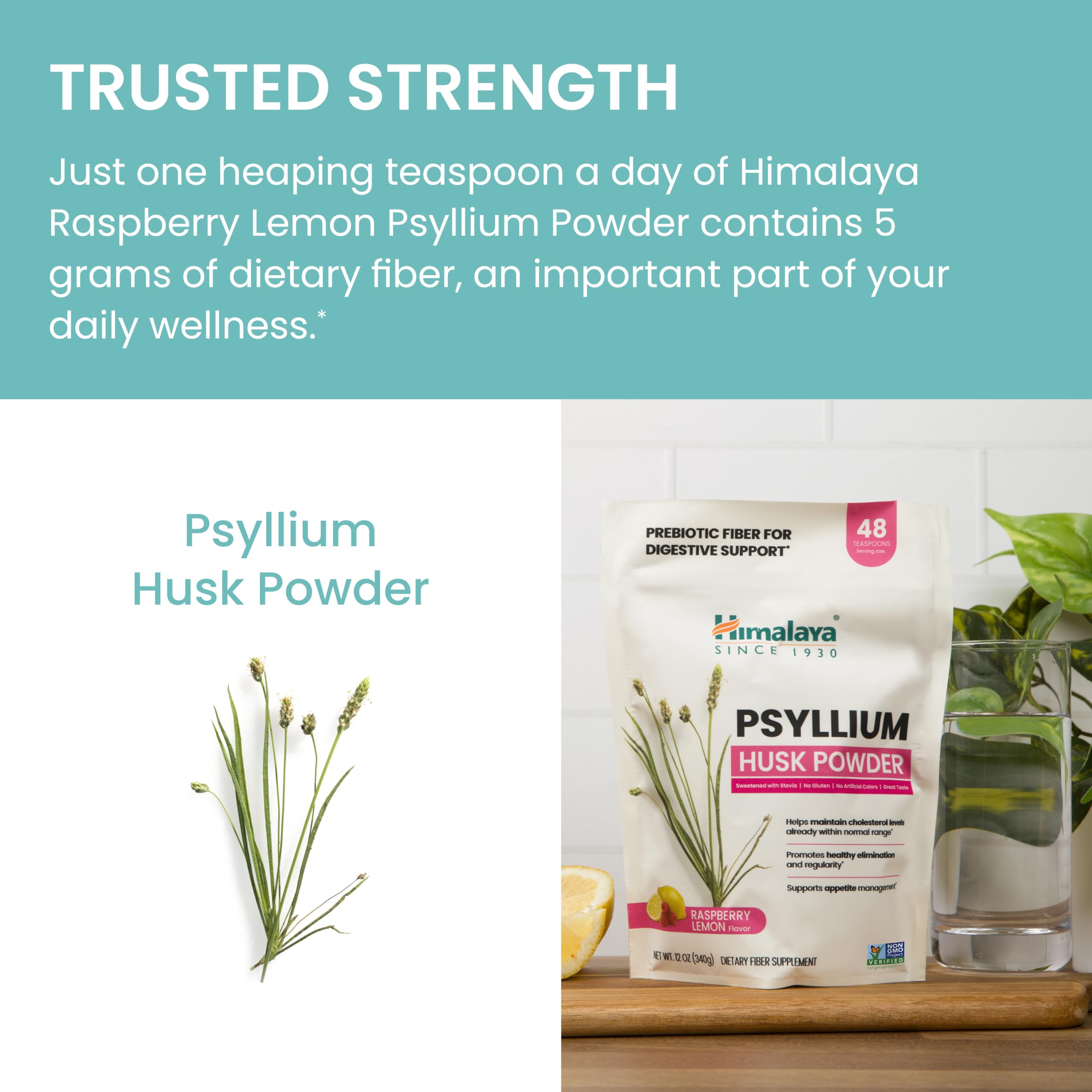 Product shot of 12 oz (340 g) jar and serving scoop