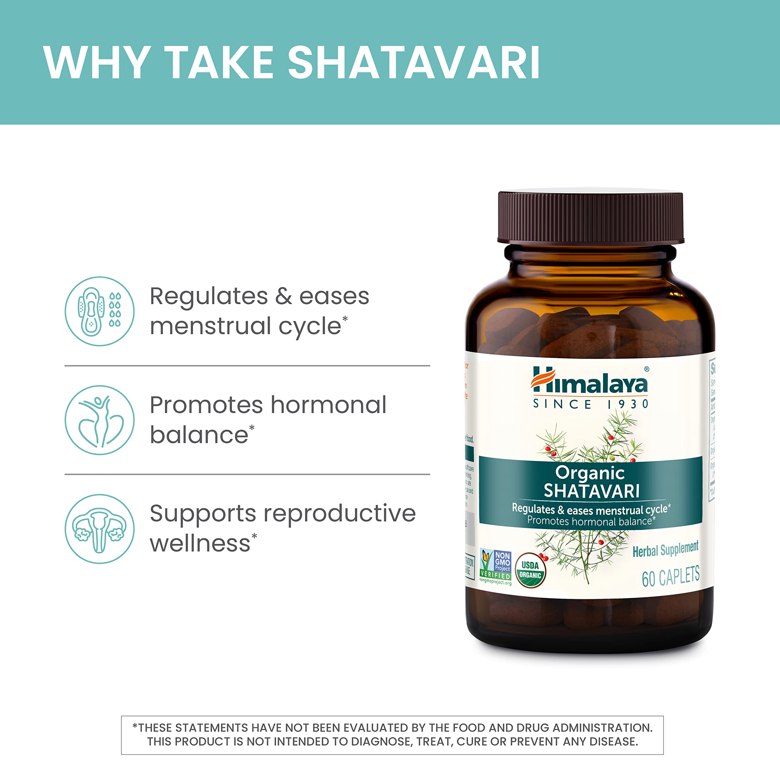 Shatavari women's health benefits illustration with capsules
