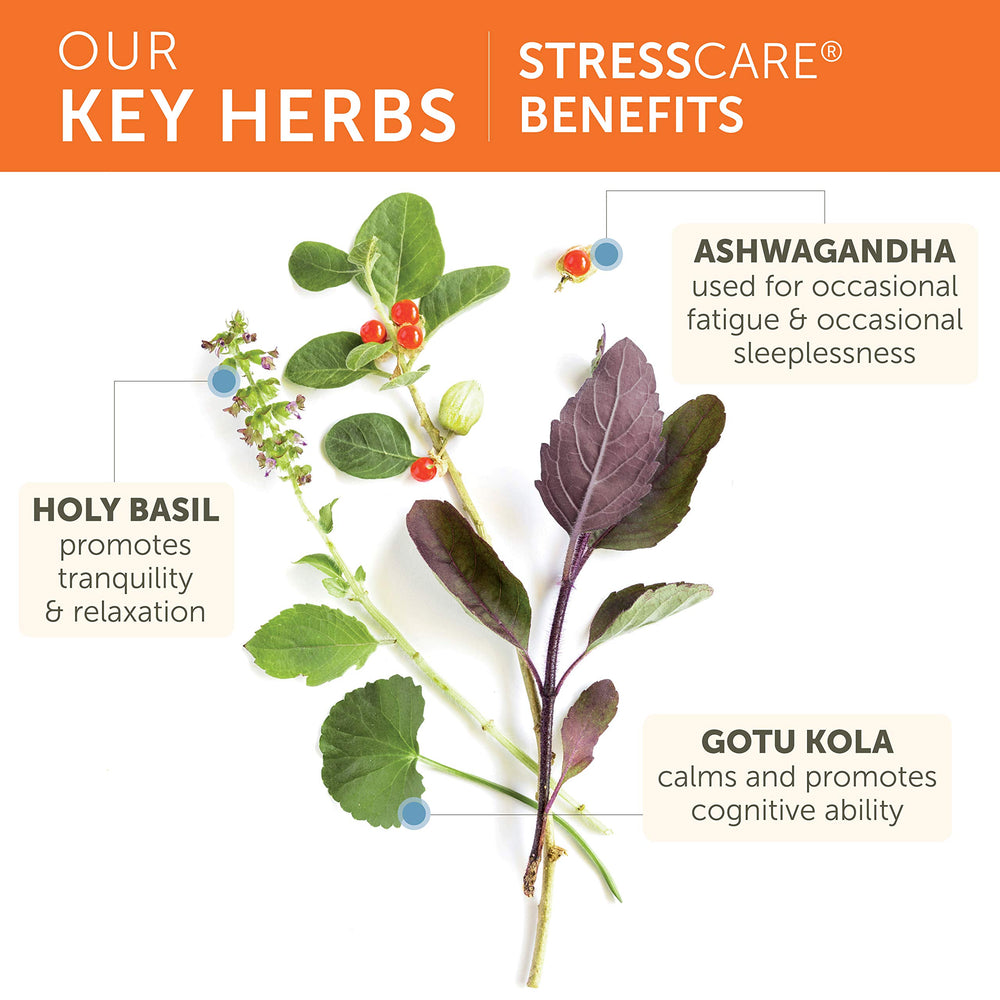 Herbal ingredients Ashwagandha, Holy Basil, Gotu Kola and Amla