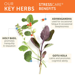 Herbal ingredients Ashwagandha, Holy Basil, Gotu Kola and Amla