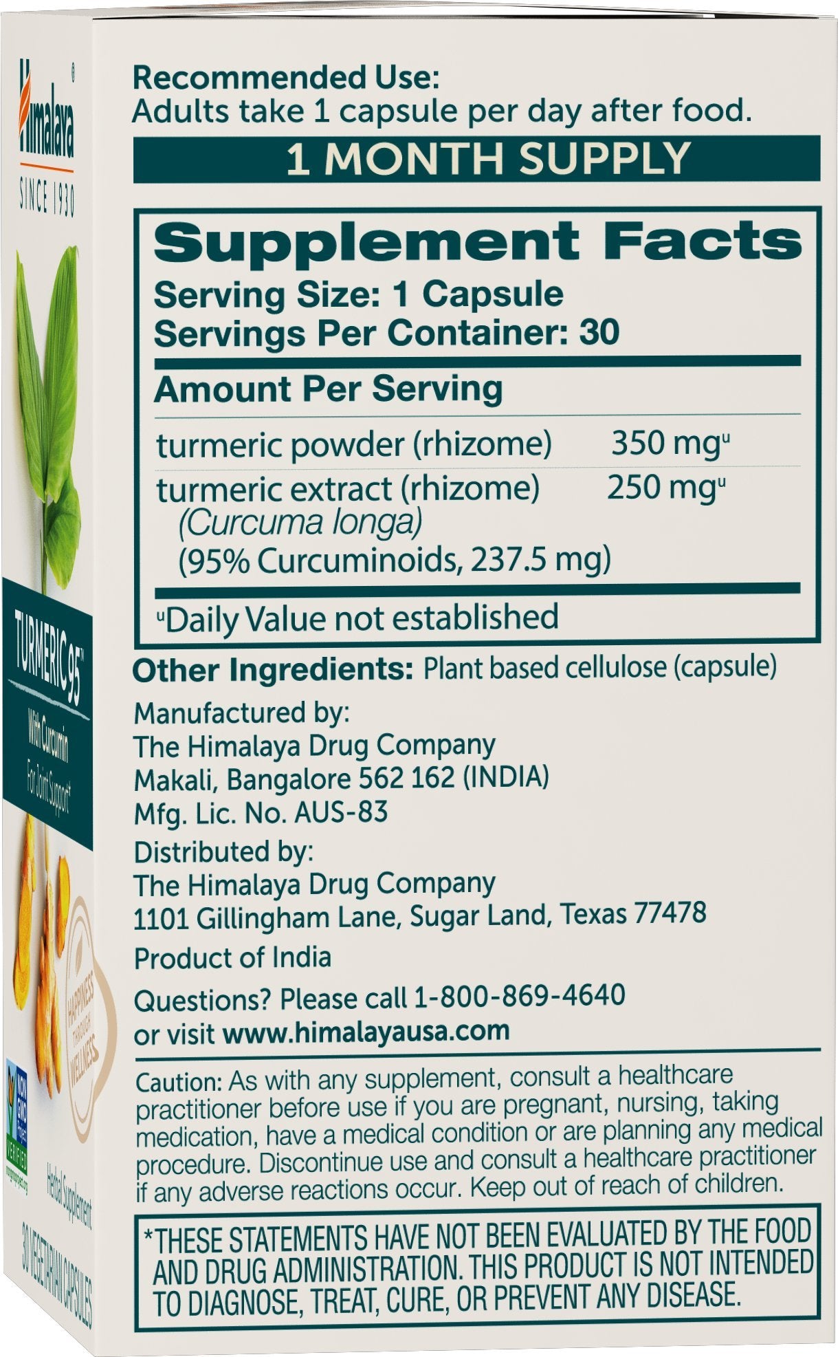 Himalaya Turmeric 95 capsules close-up
