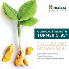 Himalaya Turmeric 95 label showing 95% curcuminoids