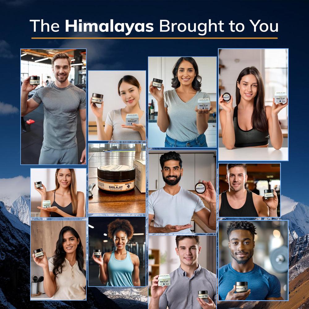 Himalayan mountains source of Shilajit resin