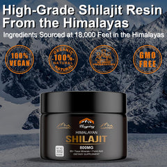 Himalayan mountains source of Shilajit resin at 18,000 feet