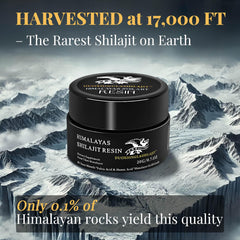 Close-up of Shilajit resin's rich golden texture