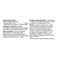 Holista Bee Propolis 500mg packaging and label