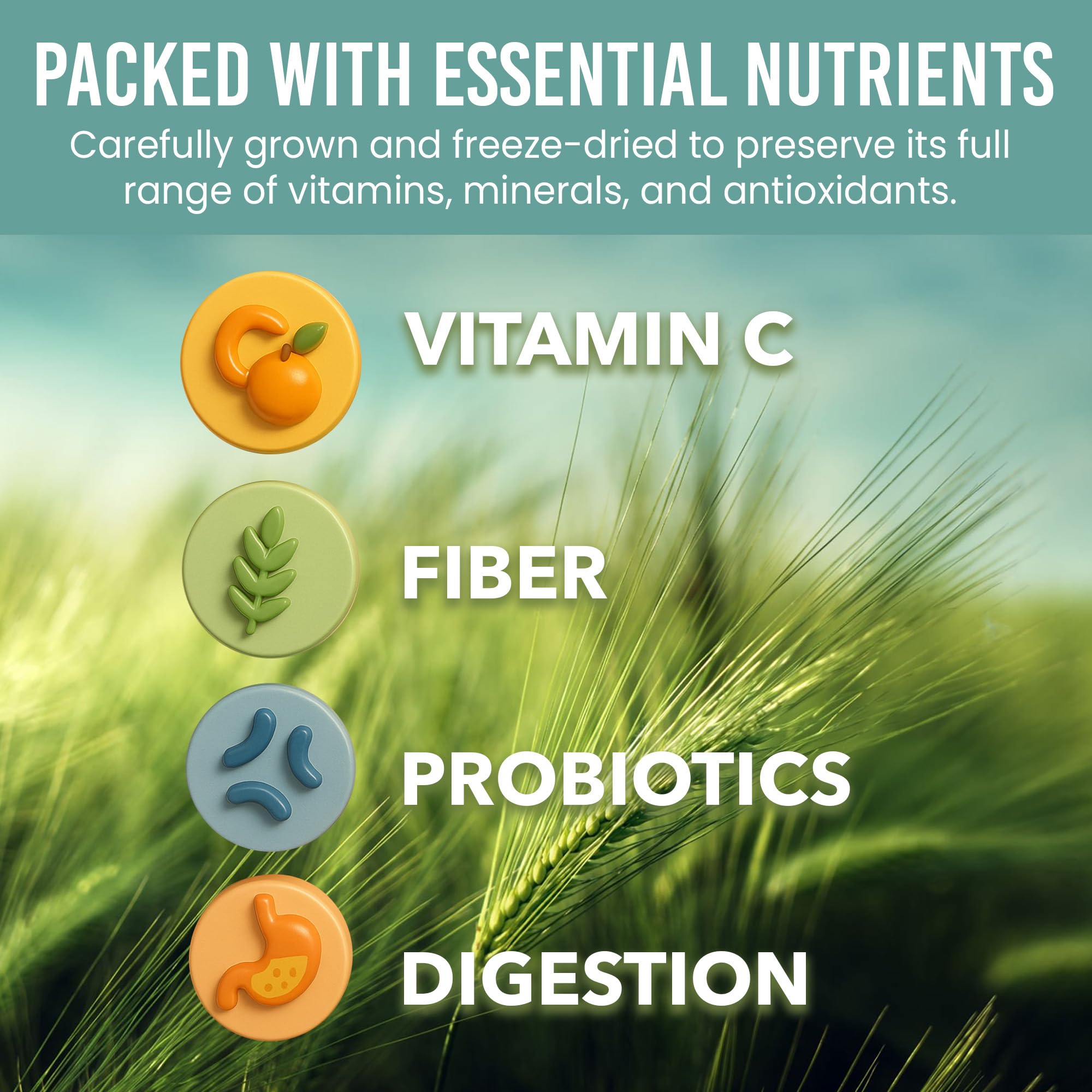 Label showing 30 day supply for Holistic Bin barley grass juice powder