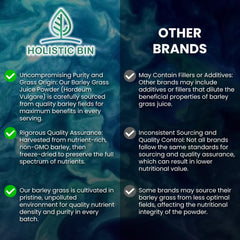 Fermentation process of Holistic Bin barley grass juice powder