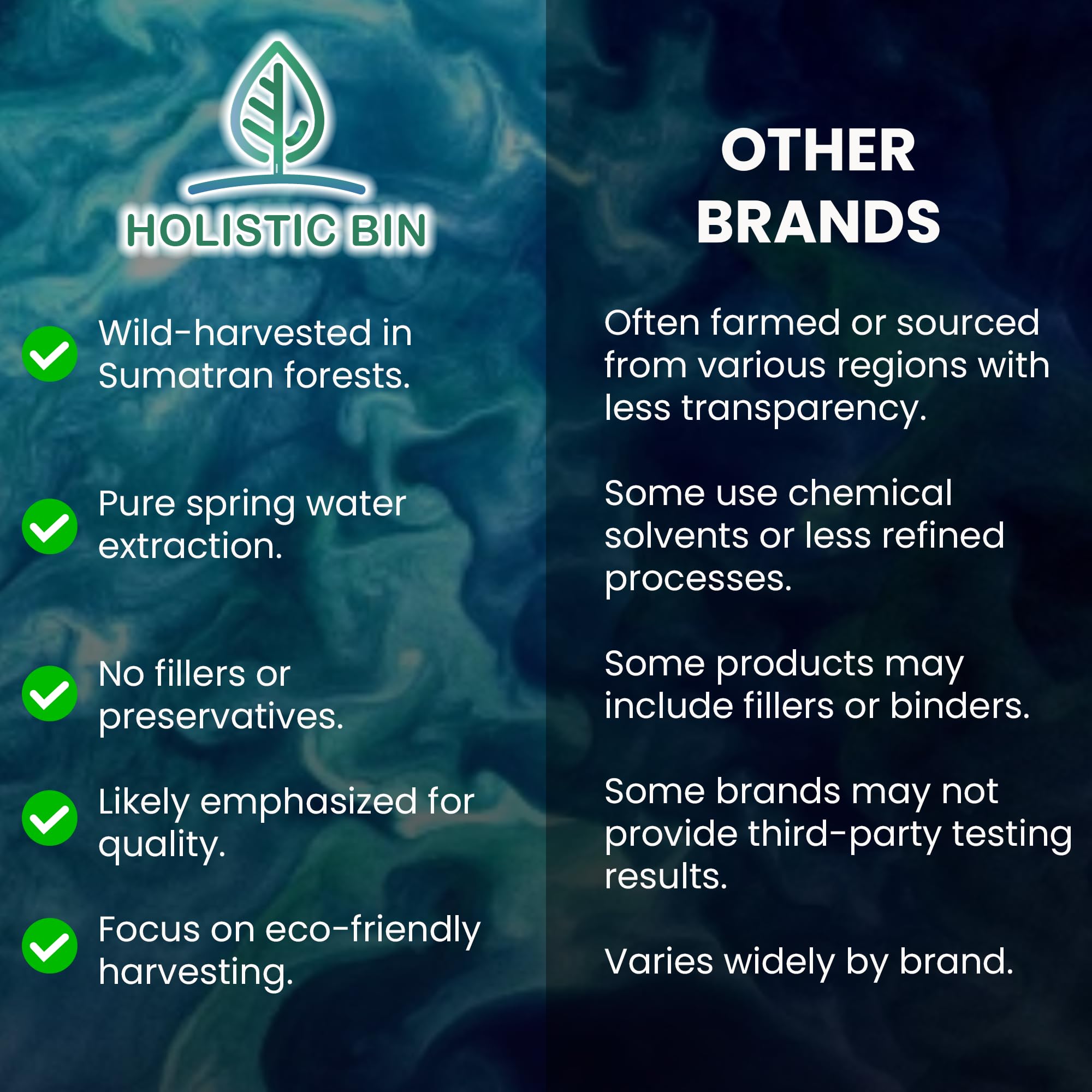 Holistic Bin Tongkat Ali powder close-up showing fine grind for smoothies