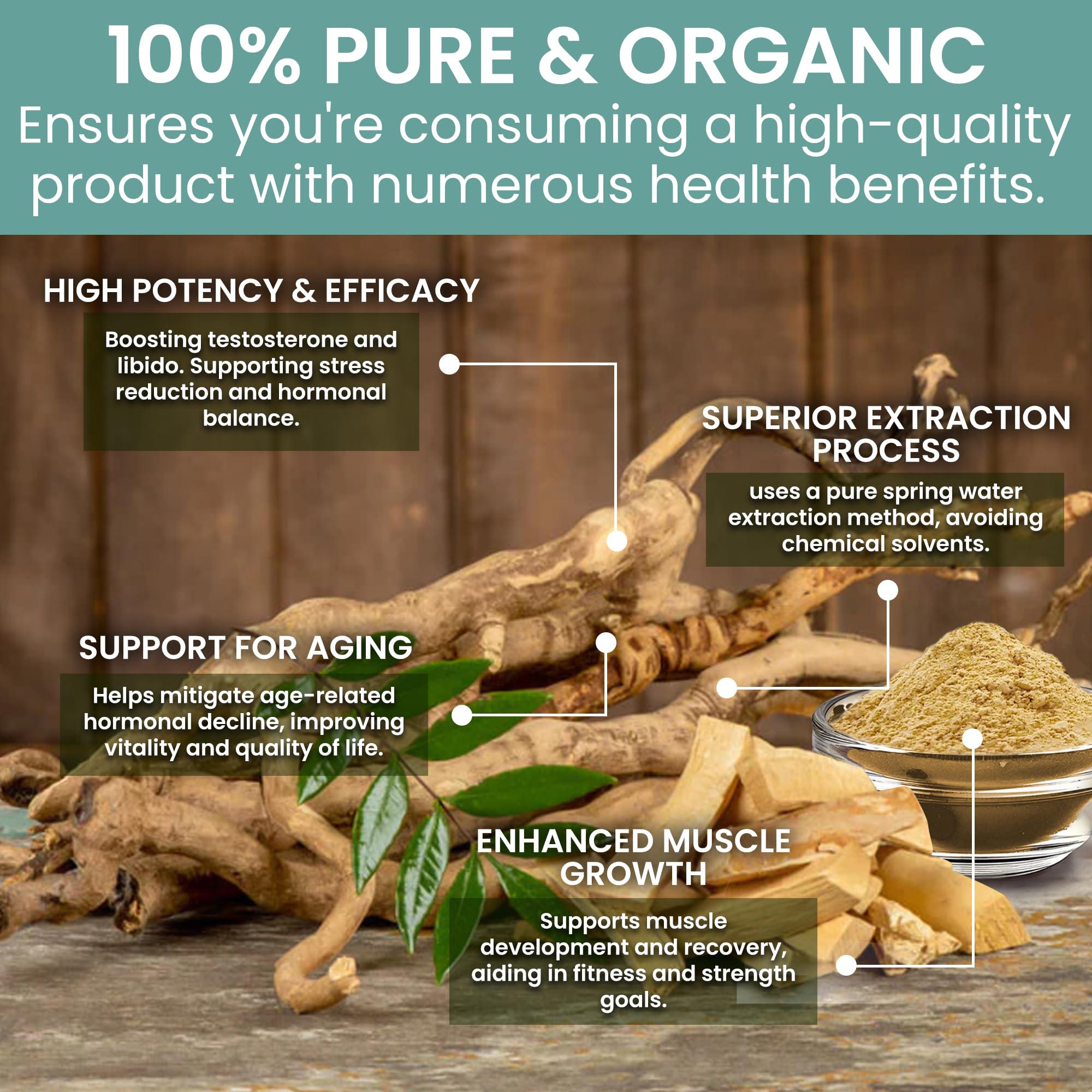 Holistic Bin Tongkat Ali powder dissolving in water for quick mix