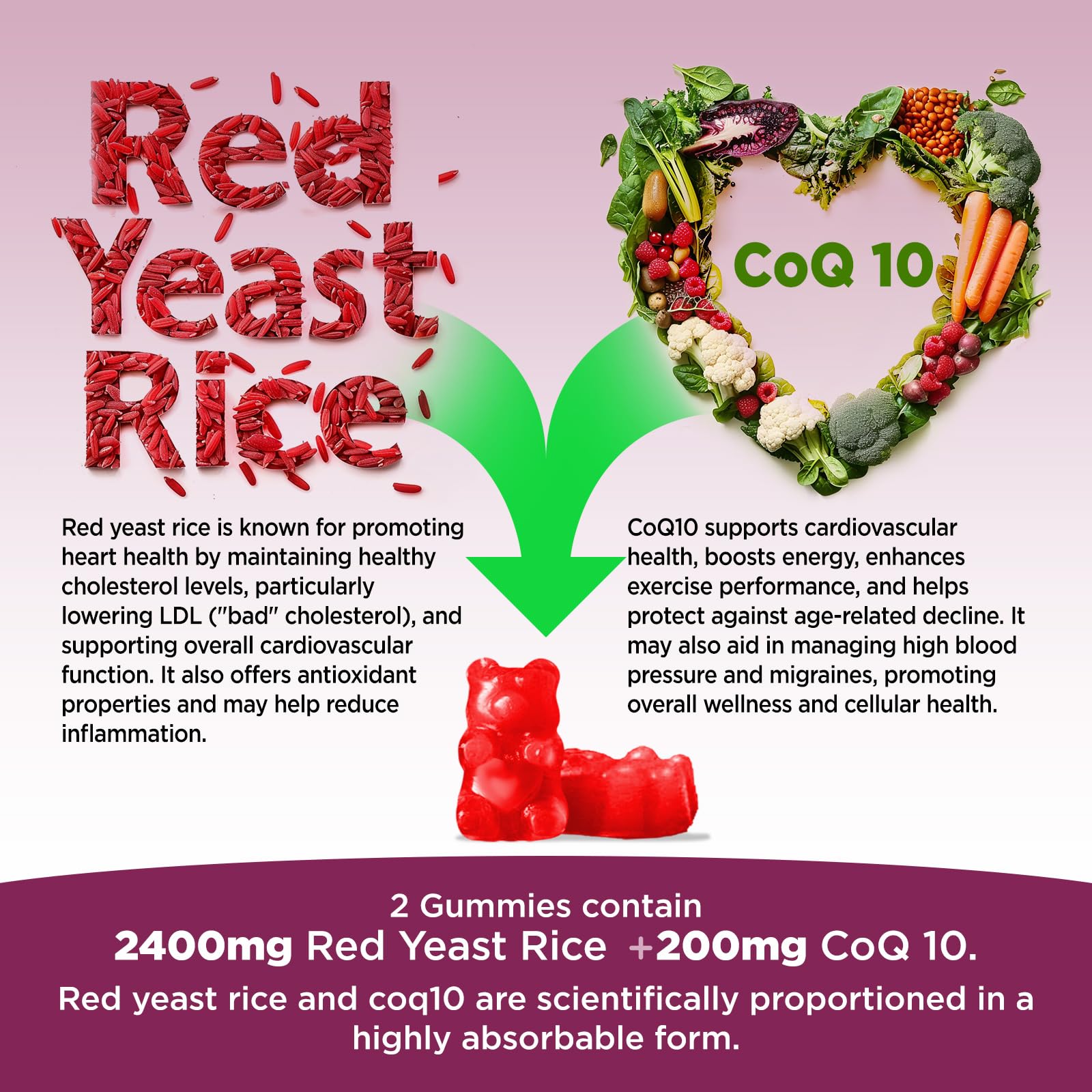 Hollgend Red Yeast Rice with CoQ10 bottle and packaging
