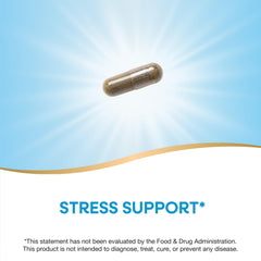 Close-up of 450 mg Holy Basil vegan capsules