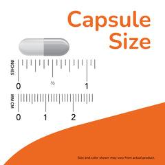 Illustration of holy basil leaf in Ayurveda