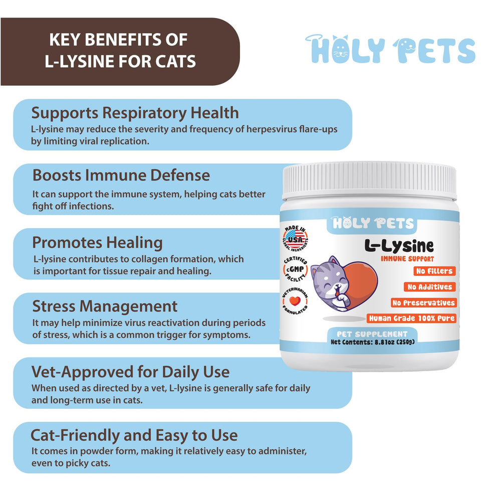 Scoop of Holy Pets L-Lysine powder showing 1,000mg measure