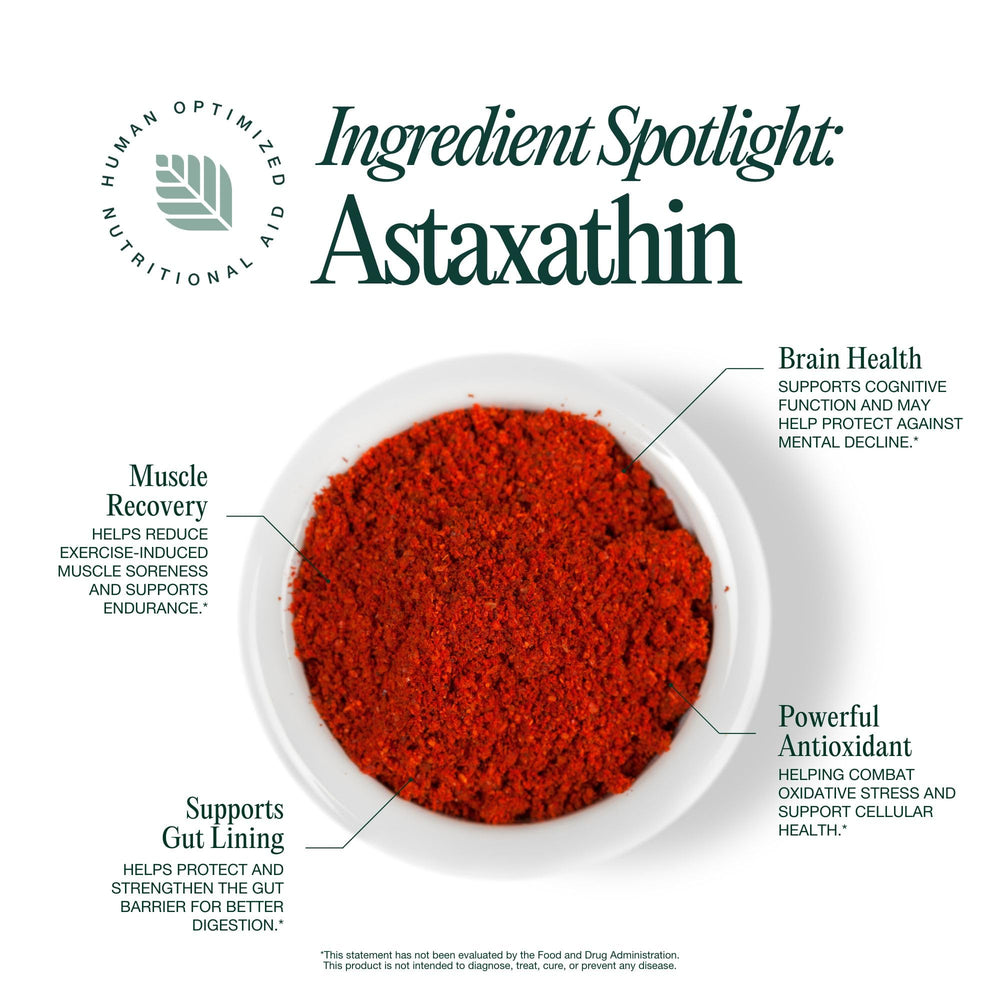 Psyllium husk and chicory root for digestion in Hona Greens