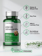 Supplement facts and ingredients for Horbäach KSM-66 Ashwagandha